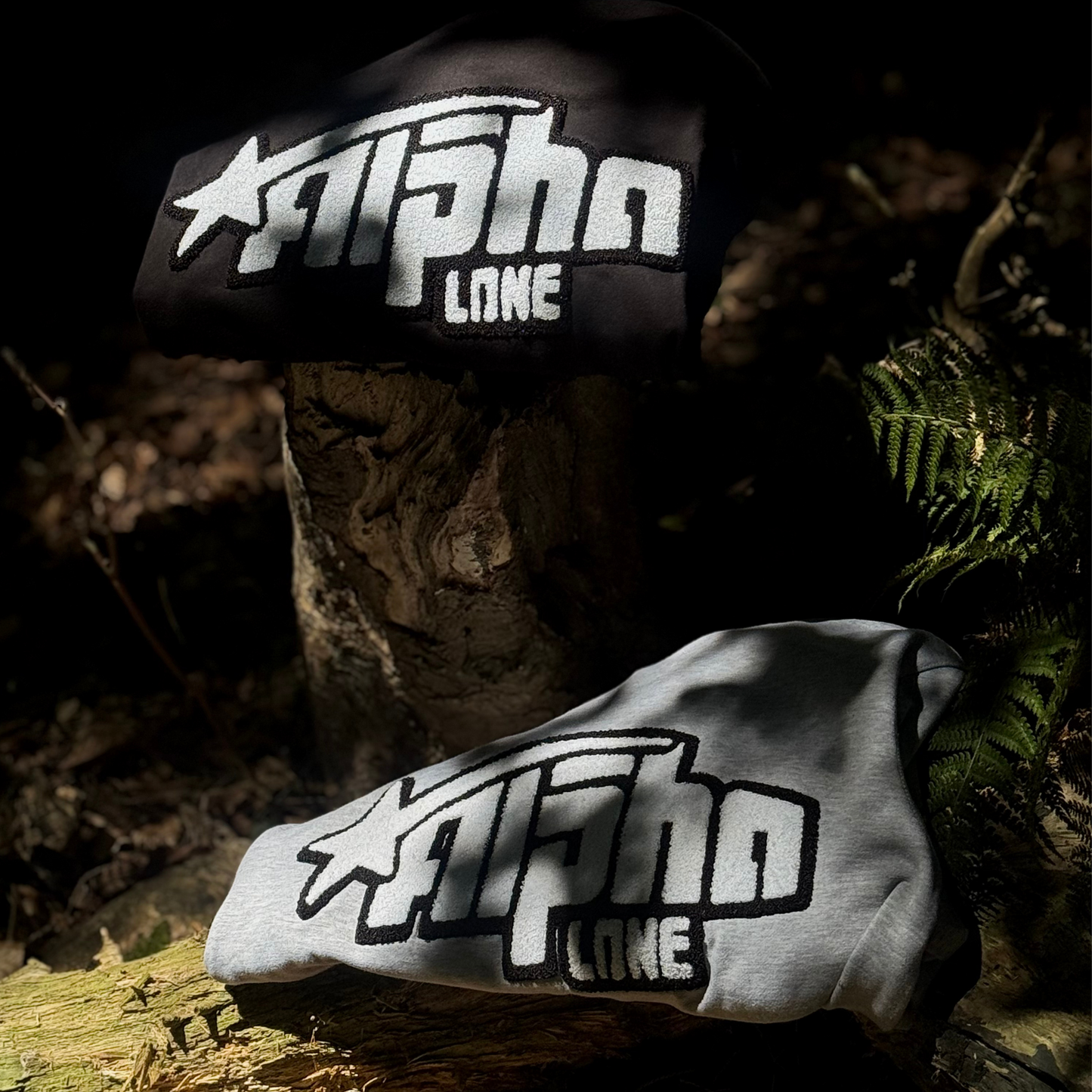 ALPHALONE Volume 1 : Black Heavyweight Hoodie